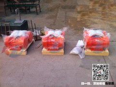 振動電機廠家教您怎樣才能提高振動電機的使用壽命？