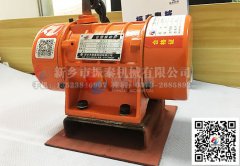 振動(dòng)電機(jī)維護(hù)和保養(yǎng)問題