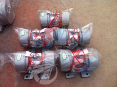 振動電機出現噪音問題該怎么辦？